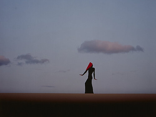 Fotografie: Silhouette in der Wüste