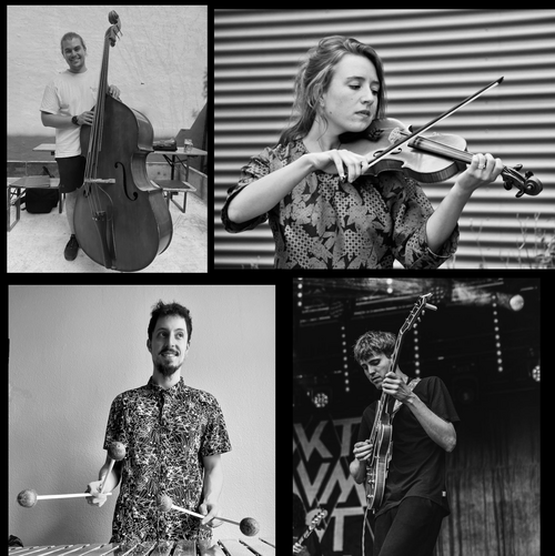 Eine Collage aus vier Bildern: oben rechts ist ein Mann mit einem Kontrabass; oben links spielt eine Frau auf einer Violine; unten links ist ein Mann mit einer Marimba; unten rechts performt ein Mann mit einer Gitarre.