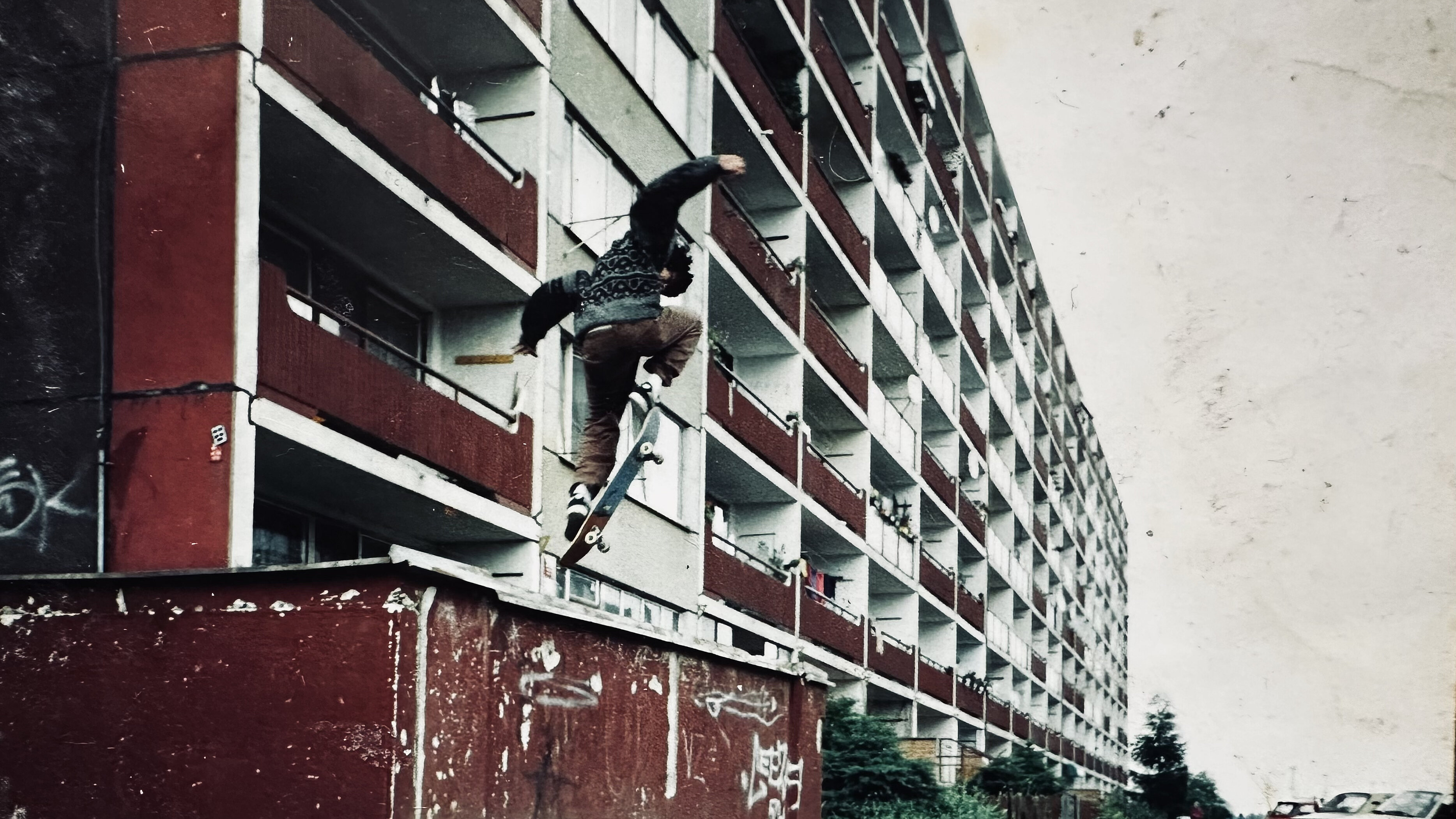 Szenenbild aus dem Film If Pigeons Turn To Gold