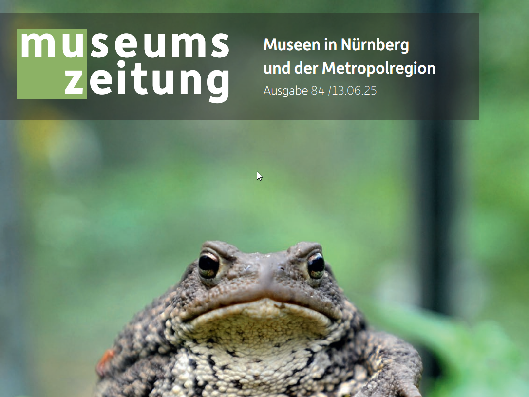 Eine große braune Kröte auf einem Moosbett