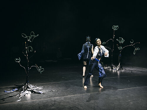 zwei Tänzerinnen bewegen sich auf der Bühne, eine hat den Rücken zur Kamera gerichtet