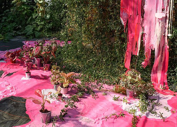 Farbverlauf in Pink inmitten von hängenden Grünpflanzen