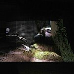 Bild zur Produktion COMET