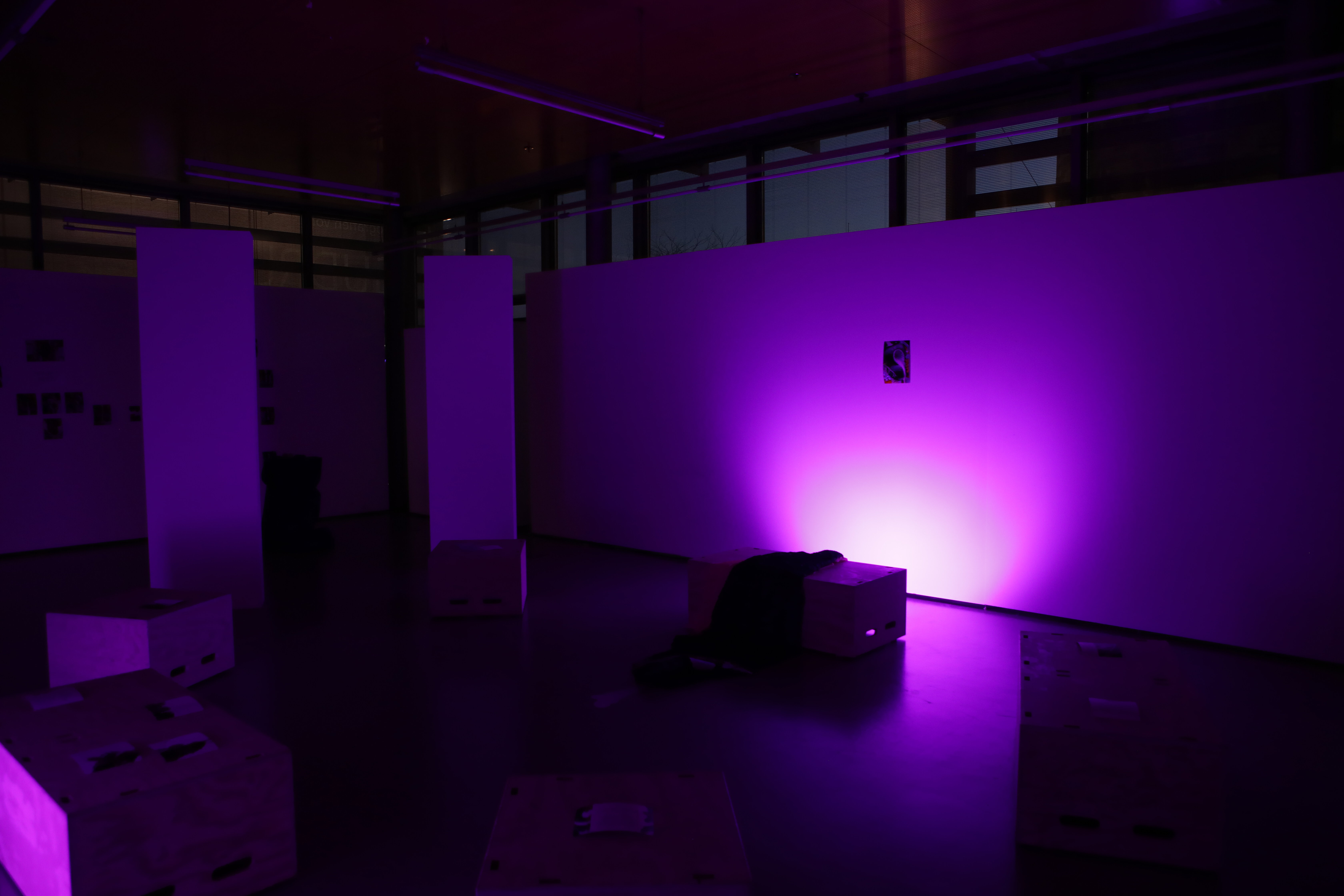 Die Ausstellungsfläche im Deck 1 ist in violettes Licht getaucht