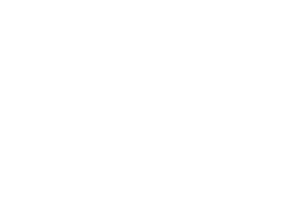 csm_N2025_Logo_transpartent-white_german_0571b135b4