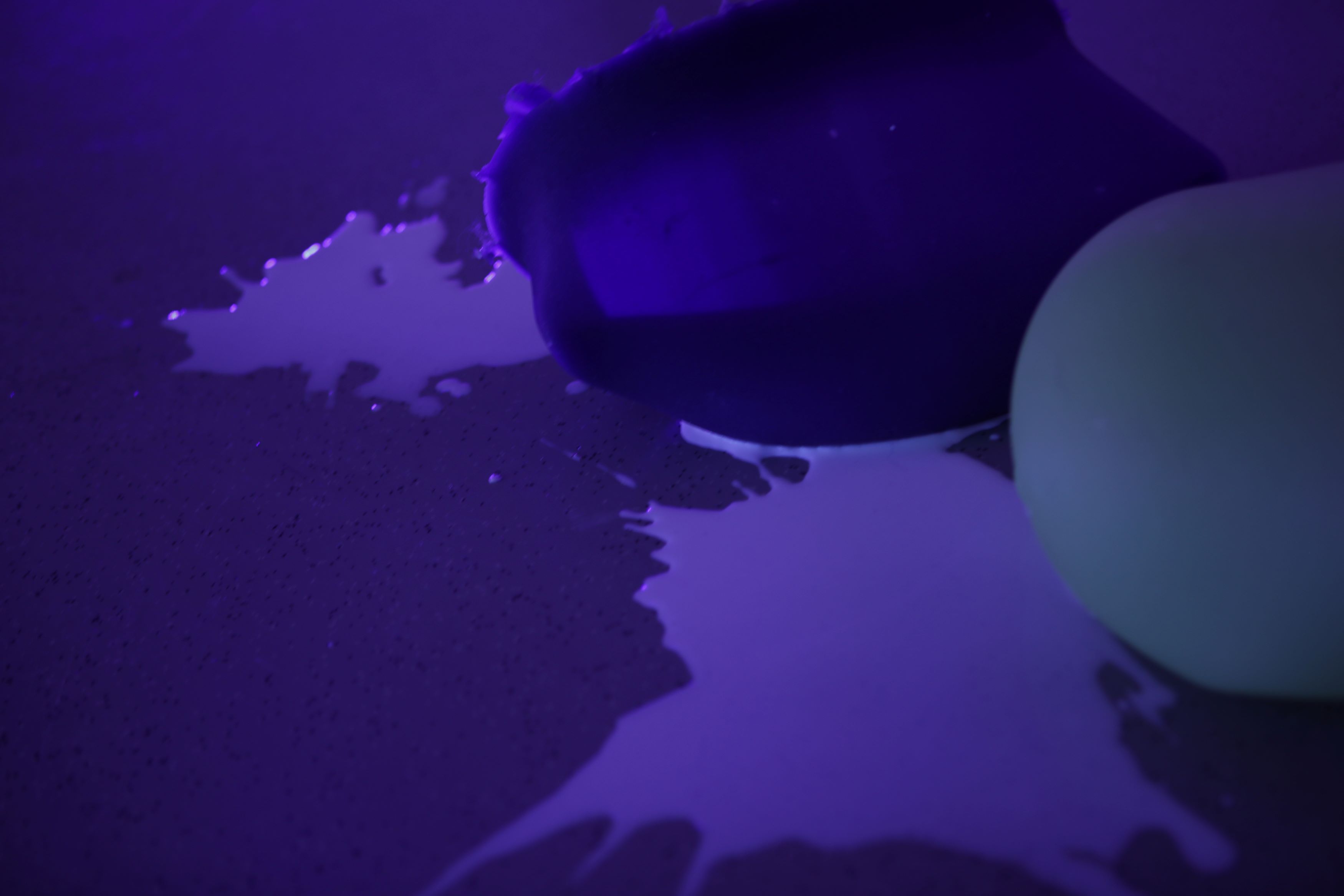 die Performance Künstlerinnen und Künstler im Ausstellungsraum