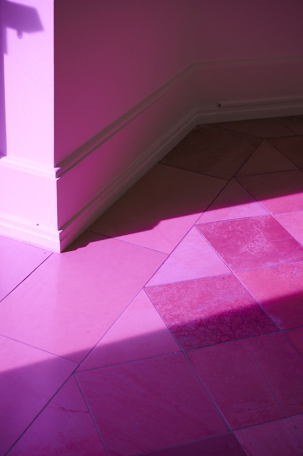 Farbraum in Pink von Zora Kreuzer