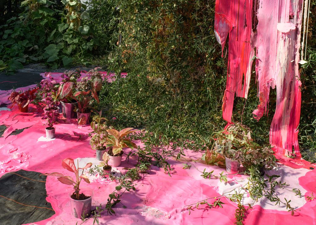 Farbverlauf in Pink inmitten von hängenden Grünpflanzen
