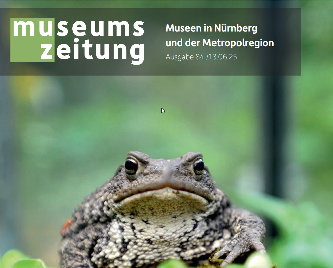 Eine große braune Kröte auf einem Moosbett